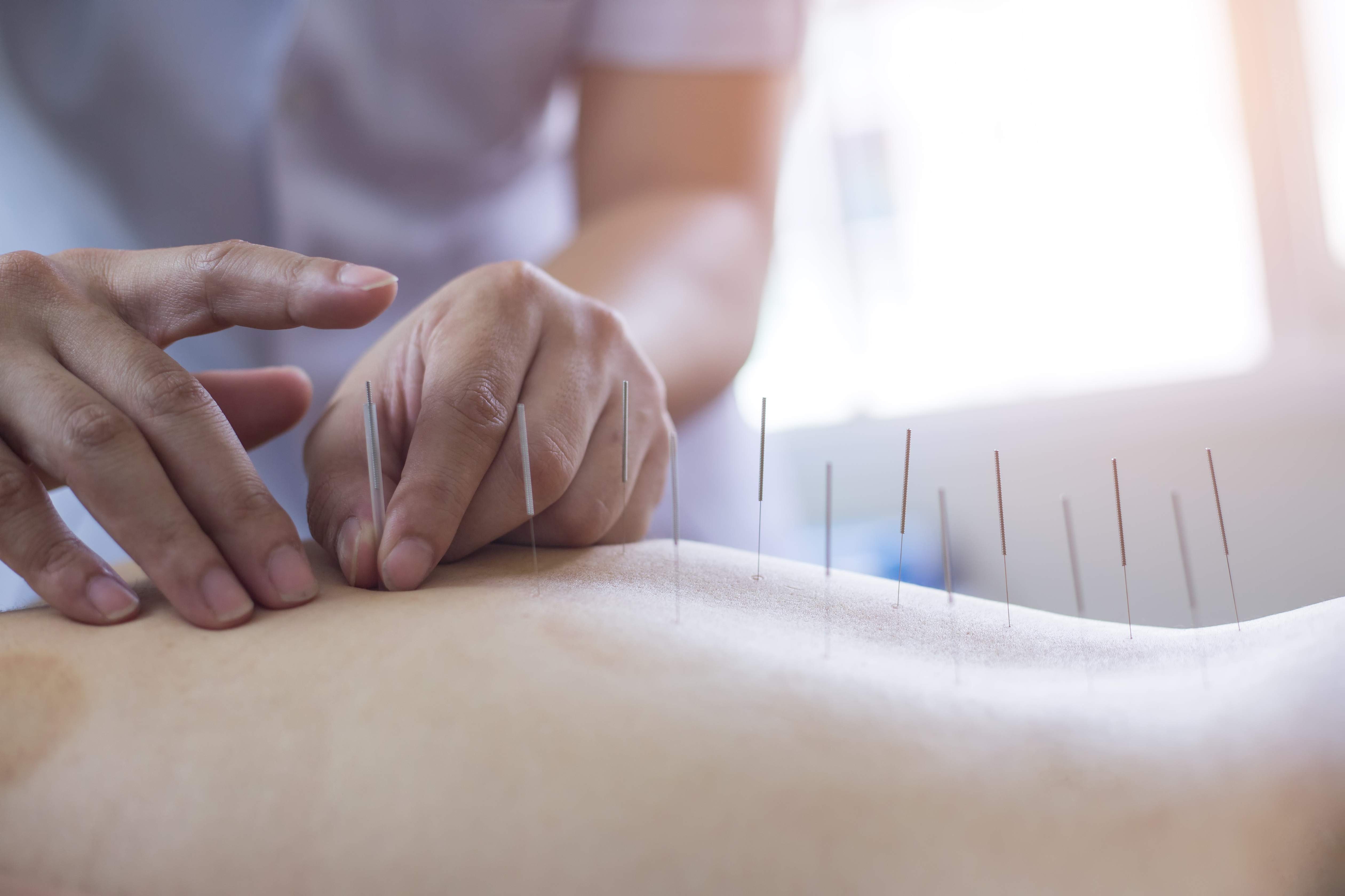 หลักสูตรวิทยาศาสตรมหาบัณฑิต สาขาวิชาการแพทย์แผนตะวันออก